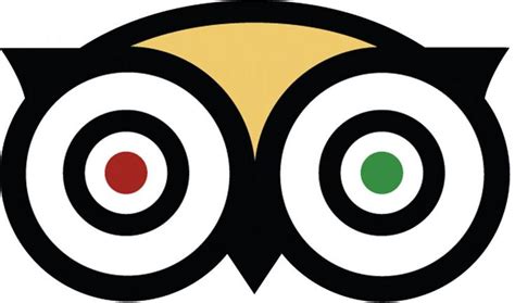 tripadvisor owl|travel site with owl.